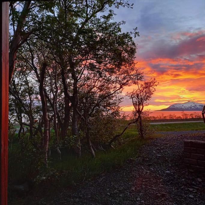 Appartamento Þorsmoerk Farm 12 Min From Akureyri Svalbarthseyri Esterno foto