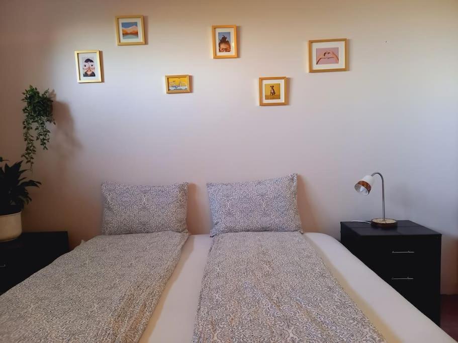 Appartamento Þorsmoerk Farm 12 Min From Akureyri Svalbarthseyri Esterno foto